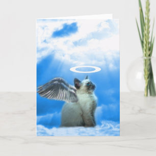 Cartão De Festividades Cute Cat Kitten Christmas Card