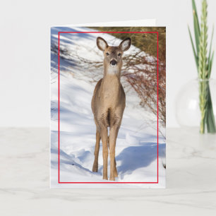 Cartão De Festividades Cute Deer in the Snow