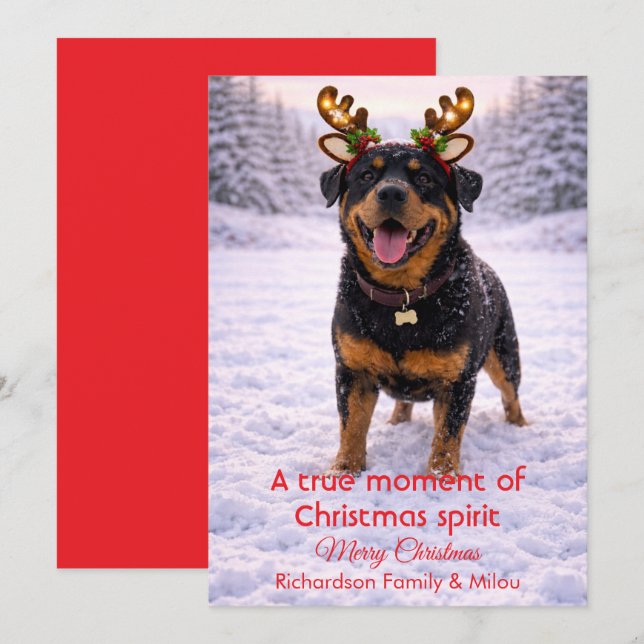 Cartão De Festividades Cute Dog Christmas Sweet Quote | Holiday Card (Frente/Verso)