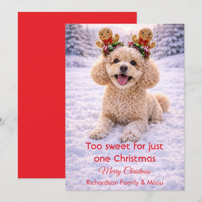 Cartão De Festividades Cute Dog Christmas Sweet Quote | Holiday Card (Frente/Verso)