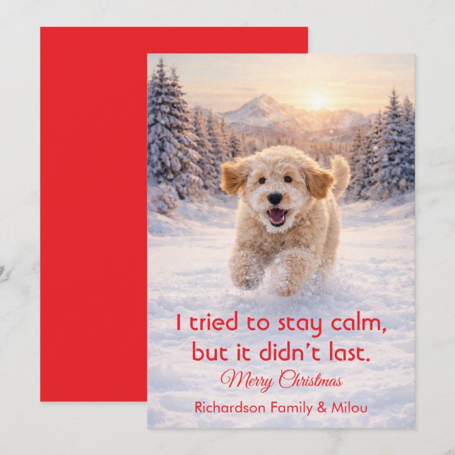 Cartão De Festividades Cute Dog with Christmas Funny Quote | Holiday Card (Frente/Verso)