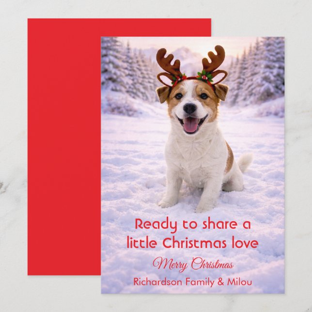 Cartão De Festividades Cute Dog with Christmas Tender Quote  Holiday Card (Frente/Verso)