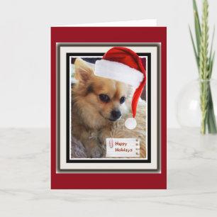 Cartão De Festividades Cute Doggie Holiday Card