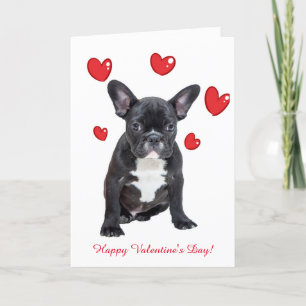 Cartão De Festividades Cute French Bulldog Hearts Valentine Greeting Card