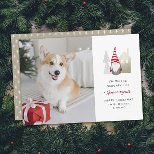 Cartão De Festividades Cute Gnomo Lamenta   Pet Christmas Photo