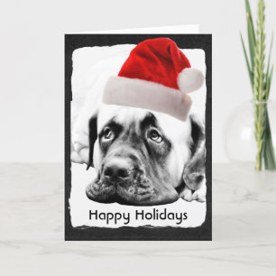 Cartão De Festividades Cute Mastiff dog