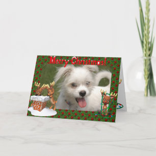 Cartão De Festividades Cute Reindeer Photo Frame Christmas Card