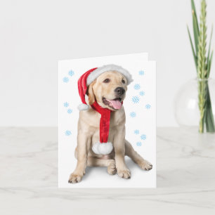 Cartão De Festividades Cute Yellow Lab with Santa Hat Labby Holidays!