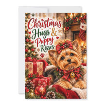Cute Yorkshire Terrier Natal Abraços e Cachorrinho