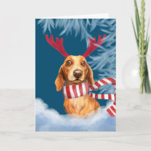 Dachshund Através Da Neve