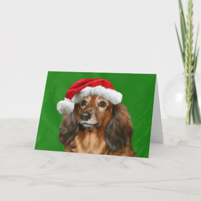 Cartão De Festividades Dachshund Christmas (Frente)