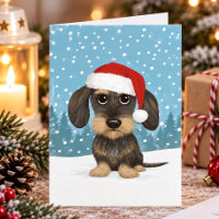 Dachshund de pelo duro Papai Noel Teckel Cachorro