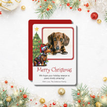 Dachshund e o Cão-de-Pé-Árvore de Natal - Uma Foto
