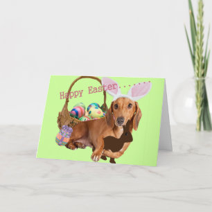 Cartão De Festividades Dachshund Easter Cards