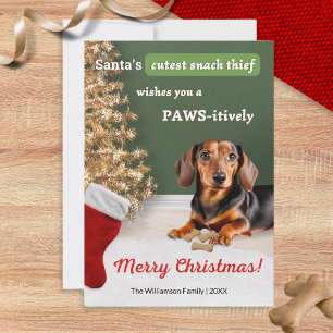 Cartão De Festividades Dachshund Engraçado Animal Natal Humor