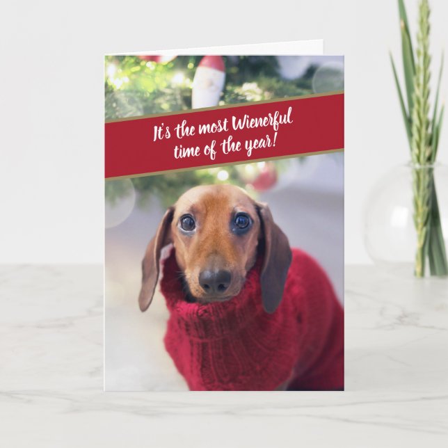Cartão De Festividades Dachshund Engraçado É a Melhor Época do Ano (Frente)