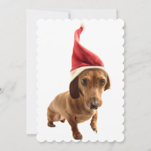 Cartão De Festividades Dachshund no chapéu de Santa