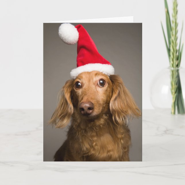 Cartão De Festividades Dachshund que veste o chapéu do papai noel do (Frente)