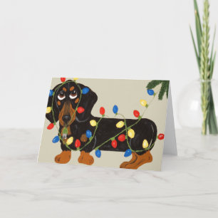 Cartão De Festividades Dachshund Tangido Em Luzes De Natal Blk/Tan