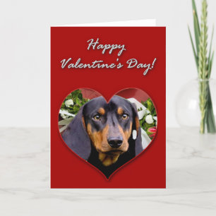 Cartão De Festividades Dachshund Valentines Day Card