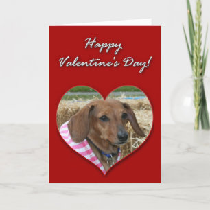 Cartão De Festividades Dachshund Valentines Day Card