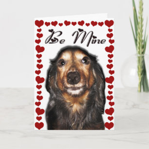 Cartão De Festividades Dachshund Valentine's Day Card