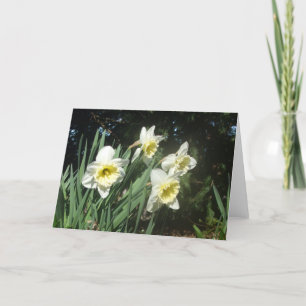 Cartão De Festividades Daffodils