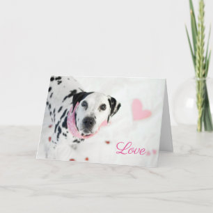 Cartão De Festividades Dalmatian Valentines Card