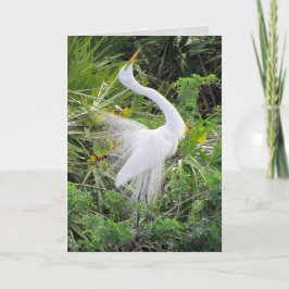 Cartão De Festividades Dança de Amor com Egrete Branco do excelente