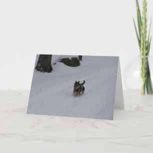 Cartão De Festividades Dashing determined puppy card