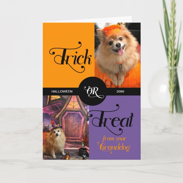 Cartão De Festividades de GRANDDOG Trick ou Treat Halloween Duas Fotograf (Frente)