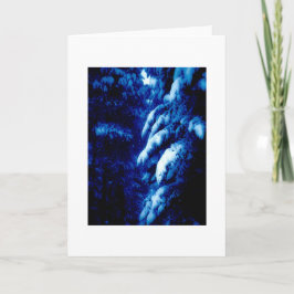 Cartão De Festividades De Quem São Essas Florestas? Eu acho que sei. Cart