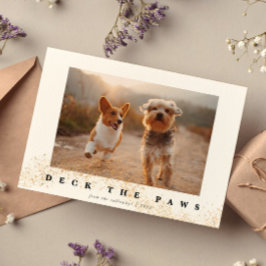 Cartão De Festividades Deck The Paws Cute Pet Photo Christmas