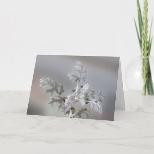 Cartão De Festividades Decorações de Natal Naturais