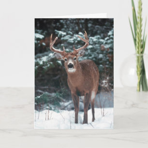 Cartão De Festividades Deer Christmas Card