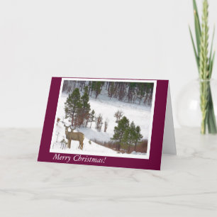 Cartão De Festividades Deer in the Woods Card