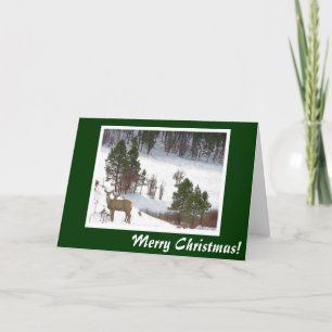 Cartão De Festividades Deer on Mountain Christmas Card