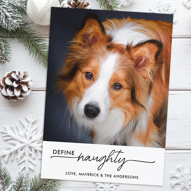 Cartão De Festividades Definir Foto De Cão De Pet Engraçado Personalizada (Criador carregado)