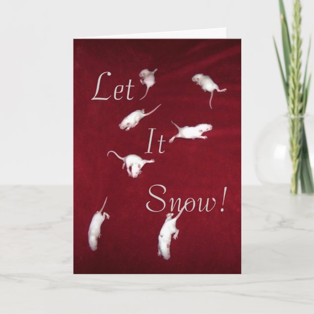 Cartão De Festividades Deixe-o ir (Frente)