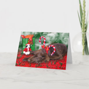 Cartão De Festividades Dentro de Texto Personalizado de Stripe de Pepperm