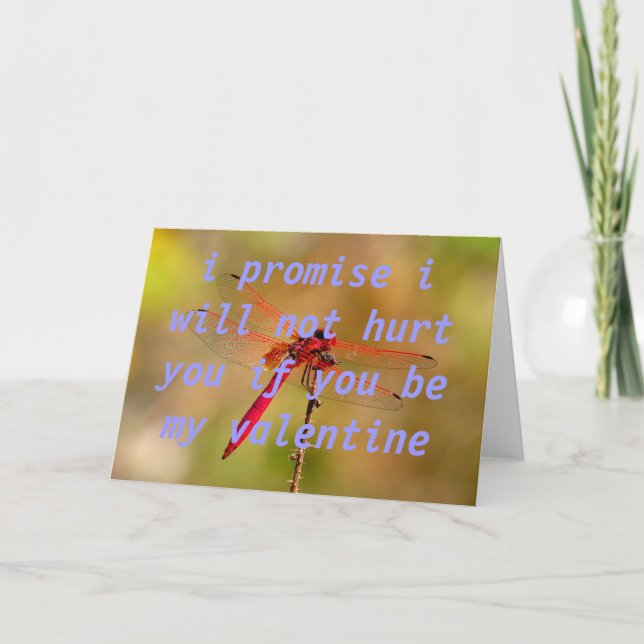 Cartão De Festividades desbravar mitos (Frente)