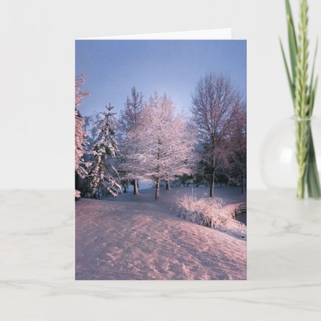 Cartão De Festividades Desejando lhe a paz este Natal (cartão) (Frente)