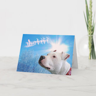 Cartão De Festividades Desejo de Natal do Cão Branco Pitbull