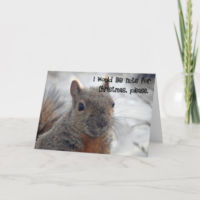 Cartão De Festividades desejo do Natal do esquilo (Frente)