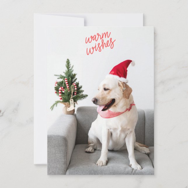 Cartão De Festividades Desejos de calor com fotografia com texto traseiro (Frente)