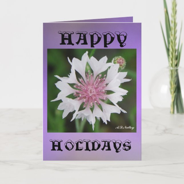 Cartão De Festividades Desejos de Férias (Frente)