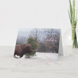 Cartão De Festividades Desejos de Natal em Neve personalizados