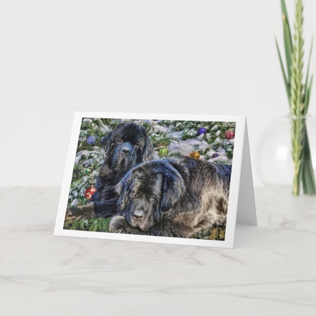 Cartão De Festividades Desejos do feriado de Newfie (Frente)