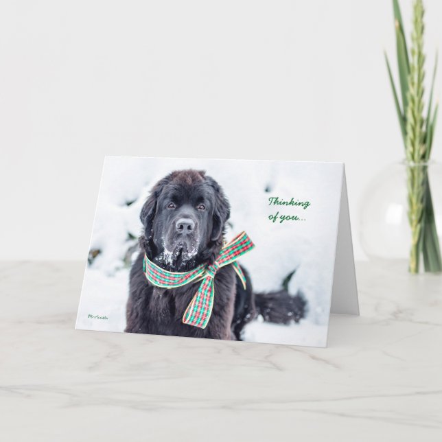 Cartão De Festividades Desejos do feriado de Newfie para você (Frente)