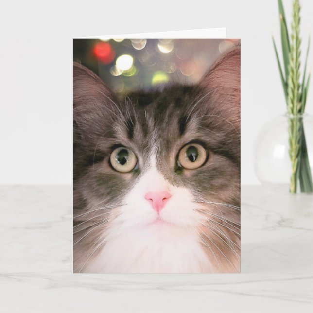 Cartão De Festividades Desejos espumantes para o Natal (cartão de Natal) (Frente)